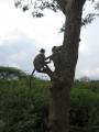 Yala National Park